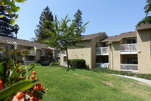 Miramar Plaza Apartments in Sunnyvale, CA - Building Photo - Building Photo