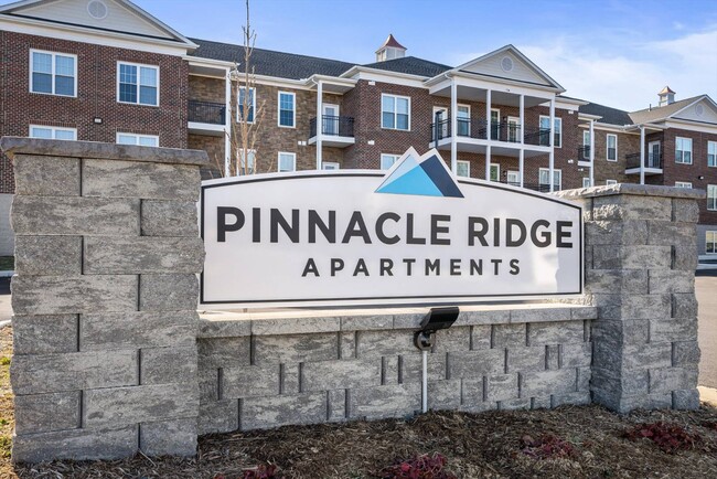 property at 397 Mule Academy Rd