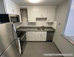 245 Main St in Watertown, MA - Foto de edificio - Building Photo