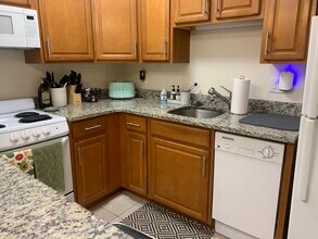 62 Parkman St, Unit 3 in Brookline, MA - Building Photo - Building Photo