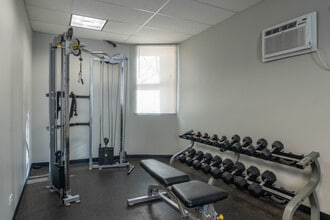 2Sisters Apartments in Chicago, IL - Building Photo - Building Photo