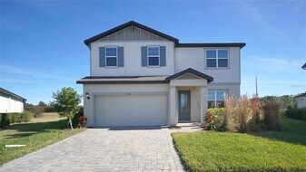 34480 Wynthorne Pl in Wesley Chapel, FL - Building Photo