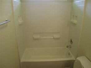 2402 Hiacintas Way in Houston, TX - Building Photo - Building Photo