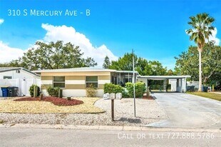 310 S Mercury Ave in Clearwater, FL - Building Photo