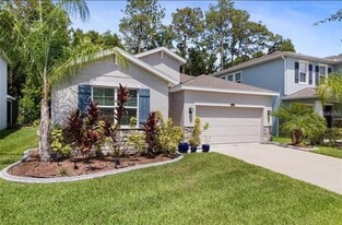32959 Sand Creek Dr in Wesley Chapel, FL - Building Photo