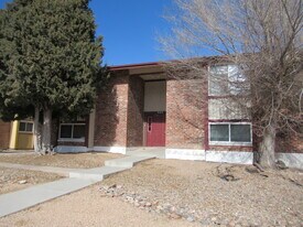 980 Holli Springs Ln in Colorado Springs, CO - Building Photo