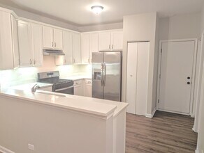 261 Springbrook Trail S in Oswego, IL - Building Photo - Building Photo