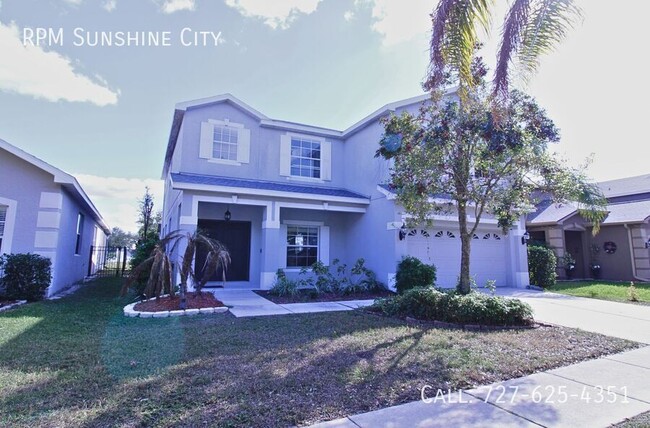 11129 Creek Haven Dr in Riverview, FL - Foto de edificio - Building Photo