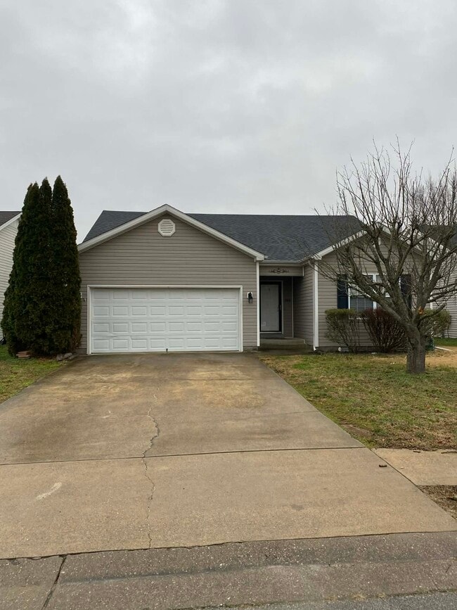 property at 344 Paddle Wheel St