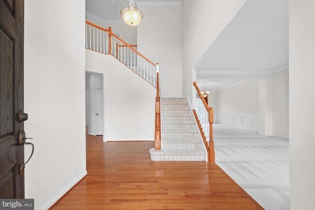 13655 America Dr in Linton Hall, VA - Building Photo - Building Photo