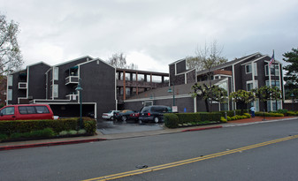 San Rafael Commons Apartments