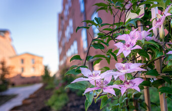 Whitlock Mills in Jersey City, NJ - Building Photo - Building Photo