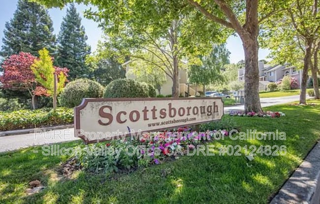 property at 113 Arabian Way