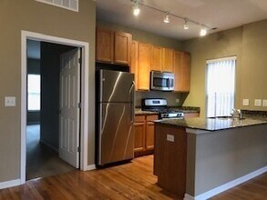 343 E 25th Pl in Chicago, IL - Foto de edificio - Building Photo