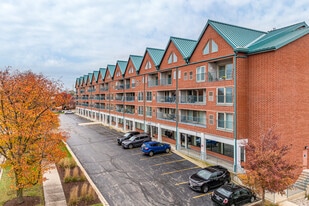 Lisle Town Centre in Lisle, IL - Building Photo