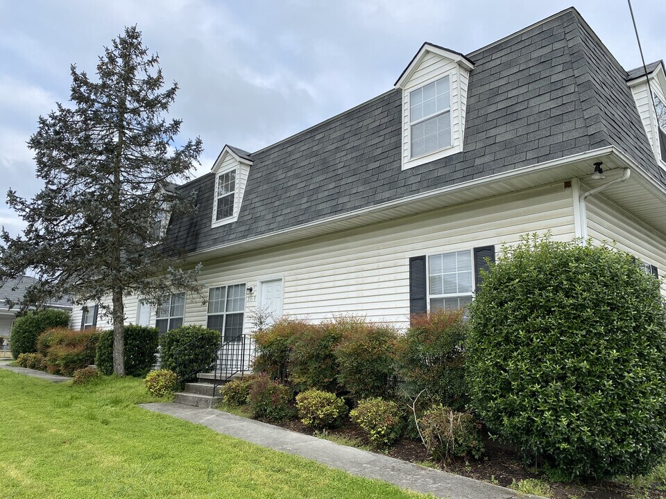 2519 Cedar Ln in Knoxville, TN - Building Photo