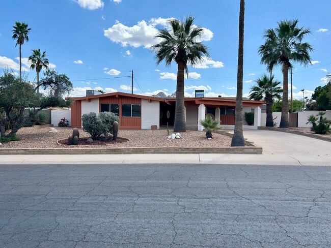 2601 E Cinnabar Ave in Phoenix, AZ - Building Photo - Building Photo