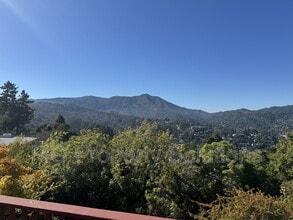 974 Vernal Ave in Mill Valley, CA - Building Photo - Building Photo
