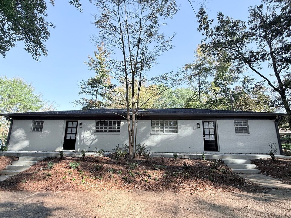 907a Cleveland Ave in Oxford, MS - Building Photo