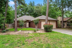 30 Whistlers Walk Pl in Spring, TX - Building Photo