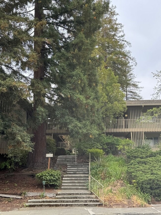 property at 665 Monte Rosa Dr