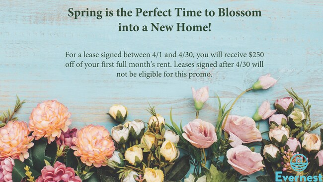 9121 Morris Dr SW photo'