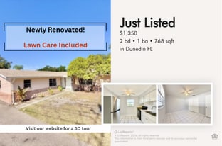 972 San Christopher Dr in Dunedin, FL - Building Photo