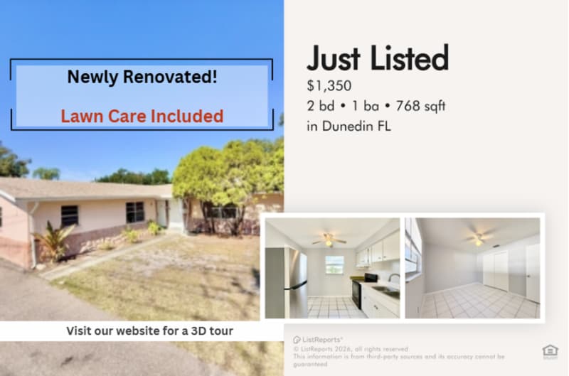 972 San Christopher Dr in Dunedin, FL - Building Photo