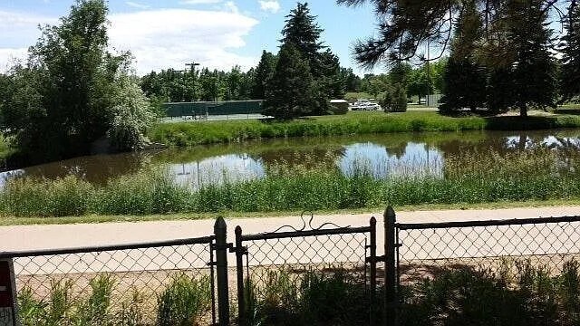 1541 Edora Road in Fort Collins, CO - Building Photo