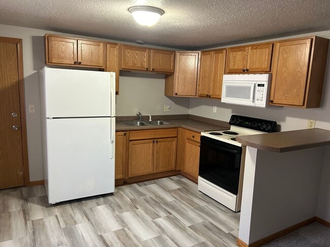 1013 S Sherman Ave in Sioux Falls, SD - Building Photo - Building Photo