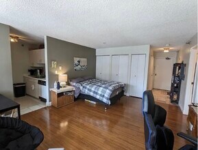 33 W Delaware Pl, Unit 9C in Chicago, IL - Building Photo - Building Photo