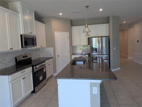 334 Winter Bliss Ln in Mount Dora, FL - Building Photo - Building Photo