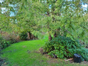 9142 Flagler Rd in Nordland, WA - Building Photo - Building Photo