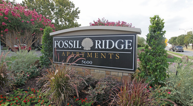 Rise Fossil Creek in Haltom City, TX - Building Photo - Building Photo