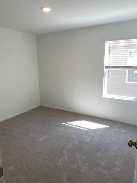 property at 11911 Bat Sheva Ln