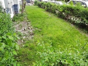 80 Grant St, Unit 3 in Somerville, MA - Building Photo - Building Photo