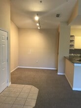 1375 Lake Shadow Cir in Maitland, FL - Building Photo - Building Photo