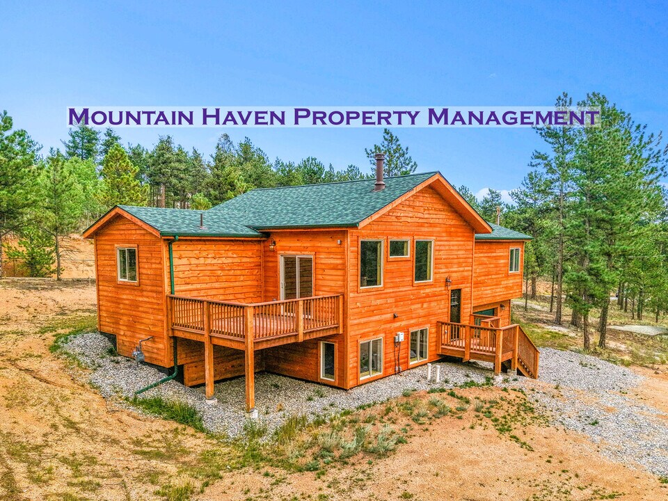 132 Pauls Ln in Bailey, CO - Building Photo