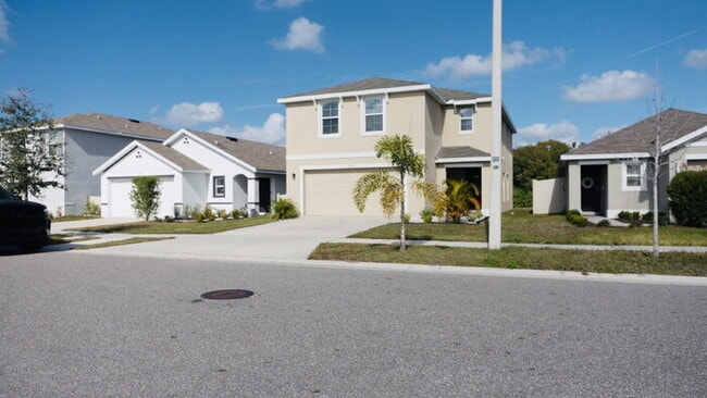 11730 White Willow Ln in Riverview, FL - Foto de edificio - Building Photo