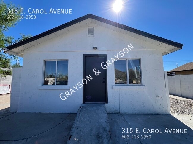 315 E Carol Ave in Phoenix, AZ - Building Photo - Building Photo