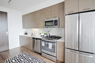 319 W Chestnut St in Chicago, IL - Building Photo