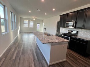 141 Tucana St in Georgetown, TX - Building Photo - Building Photo