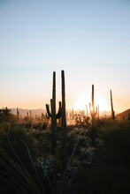 Mesa Vista in Casa Grande, AZ - Building Photo - Building Photo