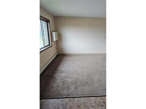 2205 Cecilee St in Worthington, MN - Building Photo - Building Photo