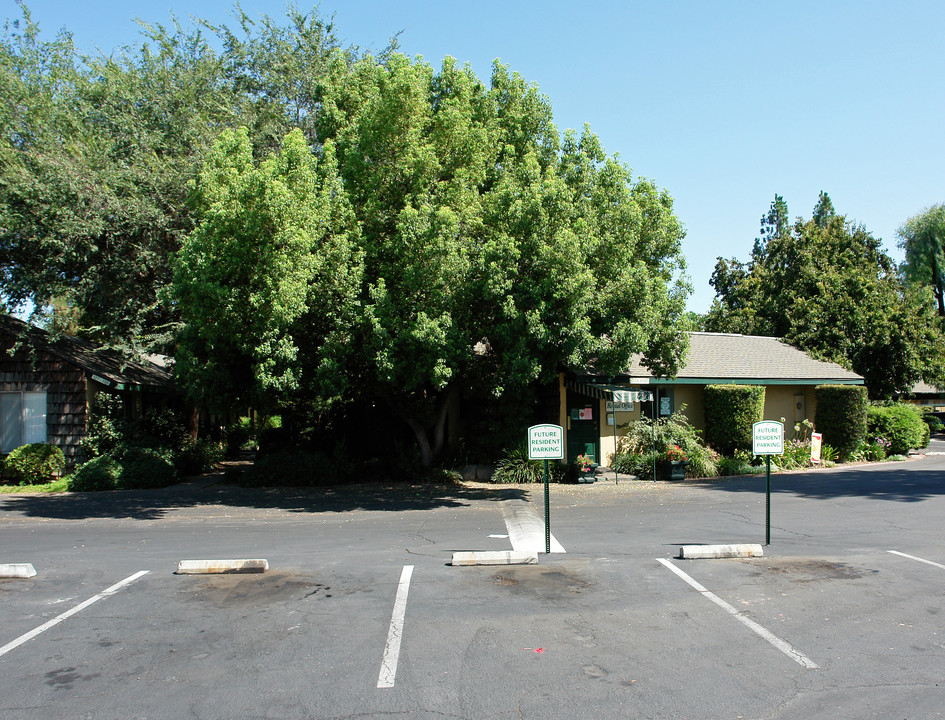 Ashmark Arms Apartments in Fresno, CA - Foto de edificio