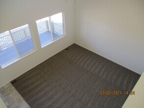 1734 Sundown Run Dr in Windsor, CO - Building Photo - Building Photo