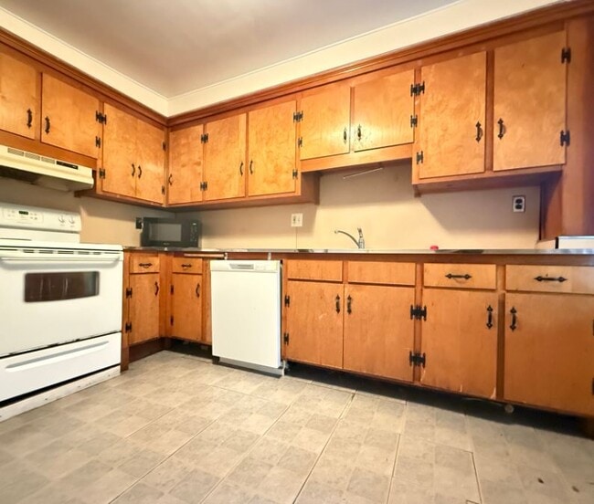 193 Mount Auburn St, Unit 3 in Cambridge, MA - Foto de edificio - Building Photo