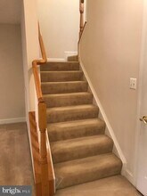 3680 Chippendale Cir in Woodbridge, VA - Building Photo - Building Photo