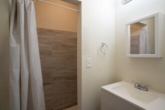 110 Lark St in Albany, NY - Building Photo - Building Photo