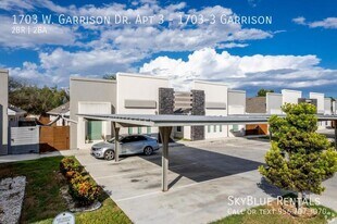 1703 W Garrison Dr in Pharr, TX - Building Photo